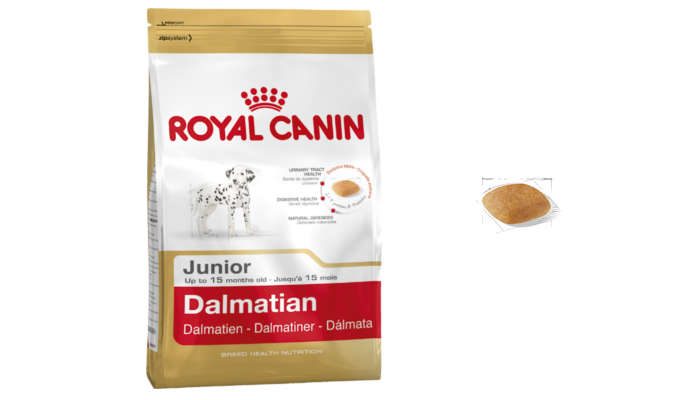 dalmatian feeding guide